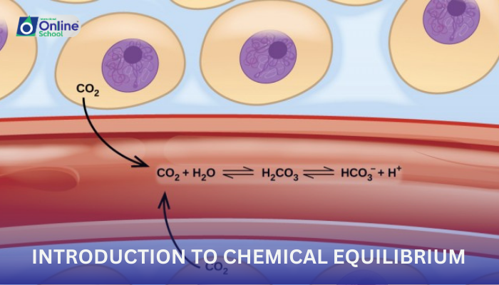 Lesson 01: Introduction to Chemical Equilibrium